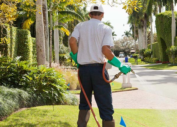 About Garvin MN Pest Control